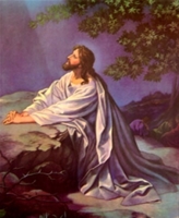 Ngài là Đức Ki tô