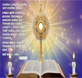 CHẦU LƯỢT - THAY MẶT TỔNG GIÁO PHẬN SÀI GÒN - CHÚA NHẬT NGÀY 11/6/23